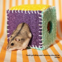 Nid pour hamster en éponge de loofah faite à la main, 9x12 cm, carré, écologique, pour le nettoyage des dents, fournitures pour animaux de compagnie