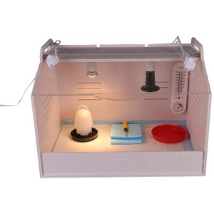 Éleveuse de poussins de haute qualité <span class=keywords><strong>pour</strong></span> l'élevage de volailles à vendre - Product Image 6