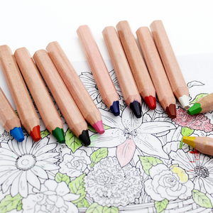 Best-seller Crayons de cire en bois 3 en 1 couleur plomb de <span class=keywords><strong>taille</strong></span> jumbo pour artistes avec <span class=keywords><strong>un</strong></span> <span class=keywords><strong>taille</strong></span>-<span class=keywords><strong>crayon</strong></span> et <span class=keywords><strong>un</strong></span> pinceau - Product Image 6