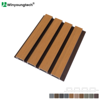 Revêtement mural en WPC semi-co-extrudé 219x26mm pour façades extérieures
