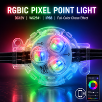 Lumières de Noël extérieures permanentes pour les avant-toits de la maison, certifiées UL, RGBW programmables, LED point lumineux, étanches IP68, DC12V