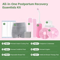 Prix d'usine – Kits de maternité jetables : Sac d'hôpital pour maman, produits de récupération post-partum, ensemble complet après l'accouchement