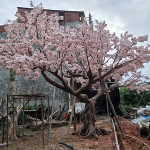 Arbre à fleurs <span class=keywords><strong>de</strong></span> cerisier rose <span class=keywords><strong>de</strong></span> conception nouvelle 2025, <span class=keywords><strong>grand</strong></span> arbre décoratif à fleurs, tronc <span class=keywords><strong>en</strong></span> fibre <span class=keywords><strong>de</strong></span> verre et <span class=keywords><strong>bois</strong></span> pour la décoration <span class=keywords><strong>de</strong></span> restaurant - Product Image 1