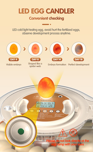 <span class=keywords><strong>2026</strong></span> नई प्रवृत्ति आई नियंत्रक 26 59 पूर्ण स्वचालित बतख अंडे इनक्यूबेटर चिकन अंडे के लिए ऑटोटैक इन्क्यूबेटर कूवटर का उपयोग करें - Product Image 5