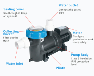 <span class=keywords><strong>Pompe</strong></span> à eau de <span class=keywords><strong>piscine</strong></span> auto-amorçante électrique 220 V de 1,5 mètre pour circulation d'eau, OEM - Product Image 6