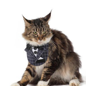 Tanpopo Tuxedo Pet Cat Suit Collar Bandana W/ Bowtie Handsome Small Dog Party Costume Accesorios Bufanda <span class=keywords><strong>Precio</strong></span> de fábrica al por mayor - Product Image 6