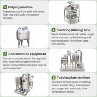Automatische tomatenverwerkingslijn, tomatenproductielijn, eenheid voor sausproductie, Turkse machine voor het maken van ketchup