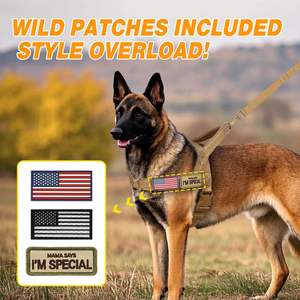 สายจูงสุนัขแบบใหม่สำหรับข้ามพรมแดน ทำจากไนลอน สำหรับสุนัขพันธุ์ใหญ่ พร้อมปลอกคอ สำหรับโกลเด้นรีทรีฟเวอร์ เยอรมันเชพเพิร์ด และสุนัขพันธุ์บอร์เดอร์ - Product Image 6