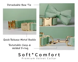 Set tali kerah anjing BONA beludru warna-warni dengan busur ukiran pelat nama hewan peliharaan gesper logam hadiah pernikahan anak anjing - Product Image 4