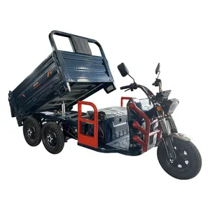 China Hot sales 2023 Popular Styles 2/4 drive switching 1200w five wheeled Two axle tricycle for timber transport