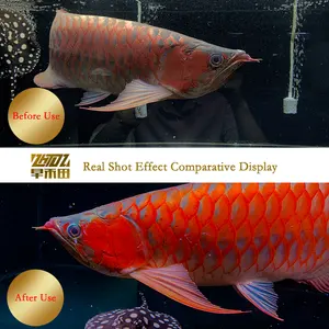 Zaohetian 72CM 20W 수족관 램프 제조 업체 물고기 붉은 물 맑은 드래곤 물고기 램프 물고기 탱크 램프