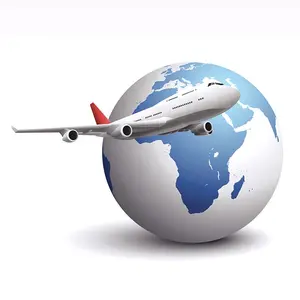 Cheapest Courier China to Senegal/Seychelles/Sierra/Jamaica/Puerto Rico/USA by Air DHL UPS FedEX
