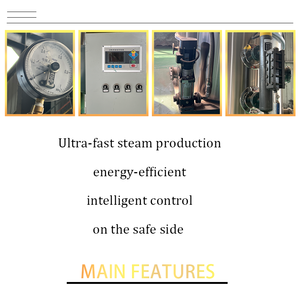 Yg Industriële Stoomgenerator Lhs Serie 50Kg 300Kg Aardgas Diesel <span class=keywords><strong>Lpg</strong></span> Gestookte Verticale Stijl Lagedruk Brandbuisstructuur - Product Image 5