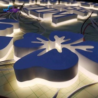 Enseigne lumineuse personnalisée haut de gamme avec logo rétroéclairé, IP65, LED, métal, 3D, transformateur AC, compatible HomeKit, télécommande, montage mural