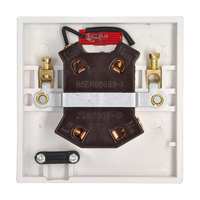 ABUK Calentador de Agua Eléctrico, Interruptor de Pared con Luz de Neón, Disponible Barato, Envío Rápido, 20A, Plástico de Baquelita, 1 Banda