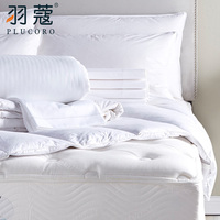 Parure de lit d'hôtel PLUCORO 330TC 100% Coton Style Moderne 4 Pièces Blanc Uni Non Jetable Tissé Personnalisable pour