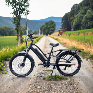 Vélo cargo électrique familial à pneus larges et longues roues, avec siège bébé, prix abordable, favori des clients - Product Image 5