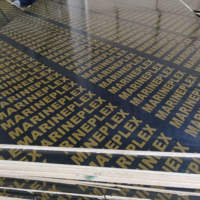 Coffrage en béton noir moderne E1 de première qualité, filmé, 4x8 pieds |   Plaques de coffrage pour la construction extérieure