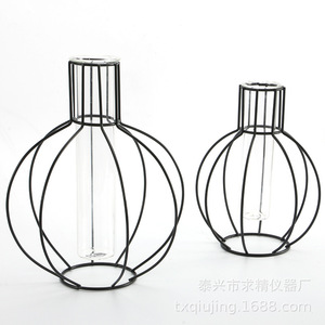 Transparent Glass Hydroponic Vase 37x45x150mm For Tabletop Decoration Living Room Display - Product Image 2