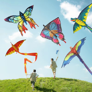 Usine Livraison gratuite cerfs-volants volants jouets de plein air pour enfants dessin animé diamant <span class=keywords><strong>delta</strong></span> pas cher cerf-volant - Product Image 4