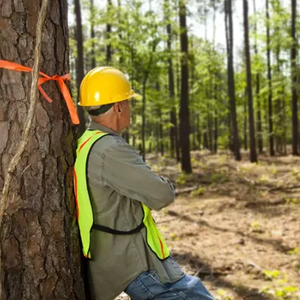 निः शुल्क नमूना नारंगी फ्लोरोसेंट 600'x 1-3/16 "x 4ml 3 सेमी 600ft विनाइल ध्वज टेप - Product Image 5