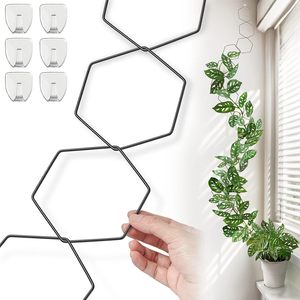 Treillis hexagonal mural en fer pour plantes grimpantes d'intérieur, idéal pour azalées, monstera, pothos et <span class=keywords><strong>lierre</strong></span> - Product Image 1