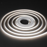 Bande lumineuse LED néon flexible en silicone IP65 6x10mm 24V à émission plate 6000K lumière du jour dimmable, installation facile, créative pour DIY, hôtels et extérieur