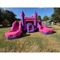 Château Gonflable Personnalisé Princesse Combo avec Toboggan Aquatique pour Location Événementielle