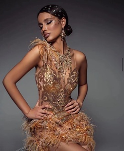<span class=keywords><strong>Magnifique</strong></span> robe à bretelles ornée de paillettes et de plumes brodées pour une performance scénique ou une fête d'anniversaire de déesse - Product Image 2
