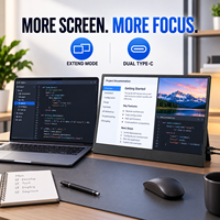 Écran portable 15,6 pouces FHD IPS double USB-C pour le codage, la documentation et le jeu