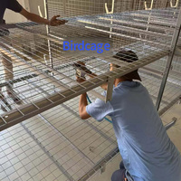 Cage à poulets empilable galvanisée résistante à la corrosion avec plancher en plastique pour élevage de poulets de chair en ferme avicole