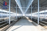 Abri pour moutons préfabriqué à faible coût en structure légère en acier, poulailler, ferme avicole, résistant au vent, imperméable, anticorrosion, hangar pour bétail