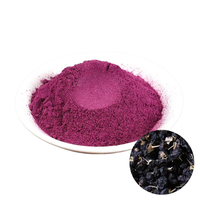 Poudre de jus de canneberge OEM de qualité supérieure, extrait de fruit acidulé pour boissons et pâtisseries, poudre soluble pour smoothies et usage culinaire