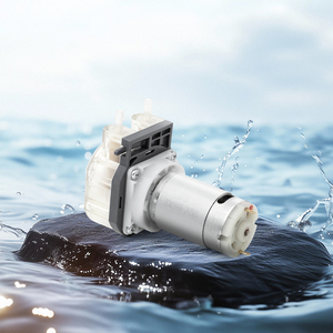 Pompa Peristaltik Dosis Air Aroma Diffuser LEFOO 490ml/menit 12/24V Motor DC Brushed <span class=keywords><strong>2</strong></span> Roller Selang BPT - Product Image 3