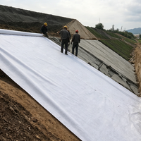 Géotextile industriel non tissé en PP/PET de haute qualité, écologique, 100-800 g/m², fabricants du Shandong en Chine, prix préférentiels