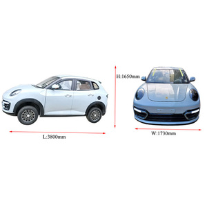 欧洲新款纯电动汽车成人<span class=keywords><strong>3</strong></span>轮电动汽车迷你电动汽车 - Product Image 5