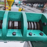 GS95 Machine Professionnelle de Presse à Huile de Haute Qualité pour Arachide, Noix de Coco et Tournesol à Vendre