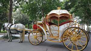 Buggy <span class=keywords><strong>de</strong></span> la Cenicienta <span class=keywords><strong>de</strong></span> la <span class=keywords><strong>Princesa</strong></span> Real, coche <span class=keywords><strong>de</strong></span> caballo <span class=keywords><strong>de</strong></span> la Cenicienta, <span class=keywords><strong>de</strong></span> boda, color blanco - Product Image 4
