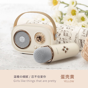 C20 cộng với không dây BT loa âm thanh loa di động nhà KTV Mini Micro Karaoke Loa không dây Microphone Set - Product Image 3