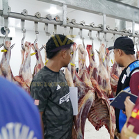 Projet clé en main d'abattoir, ligne d'abattage de bovins, équipement d'abattoir pour vaches, machine d'abattage de taureaux à vendre