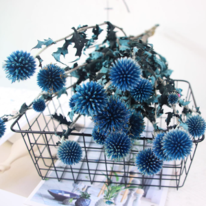 Échinops <span class=keywords><strong>bleu</strong></span> (globe <span class=keywords><strong>bleu</strong></span>) préservé, fleurs séchées bleues naturelles pour mariage, maison, décoration rustique - Product Image 4