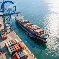 Grand démarrage : Service de logistique DDP de fret maritime LCL + Express de Chine vers l'Europe, le Royaume-Uni et les États-Unis avec agent unique