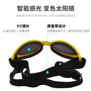 Lunettes de soleil pour animaux de compagnie, pour chiens et chats, protection UV, lunettes en plastique, style dessin animé, accessoire d'été - Product Image 3