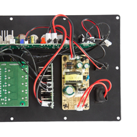 Panneau amplificateur audio multifonctionnel 12V avec réception audio sans fil, prise en charge AUX, USB, carte TF, FM, TWS, enregistrement et antenne télescopique