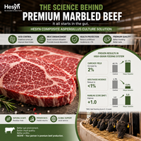 Additif alimentaire premium pour bovins marbrés avec Aspergillus Oryzae et multi-enzymes |   Solution de finition haute performance