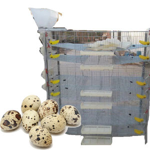 Cage de batterie de caille automatique de nouvelle conception de prix bon marché avec le système d'eau - Product Image 2