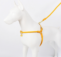 Ensemble de laisse et harnais pour chien de luxe, solide, tendance et durable, avec fermeture à boucle, sangle de poitrine réglable et douce pour la promenade des chiens de taille moyenne