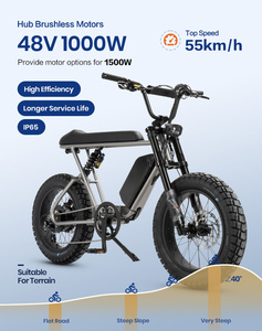 มอเตอร์ไฟฟ้าขับเคลื่อนล้อหลังแบบเต็มระบบกันสะเทือน 1000W ความเร็วสูง ปี 2025 จากโรงงานโดยตรง ใช้แบตเตอรี่ 52V รุ่น Retro-MX Ele - Product Image 2