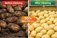 Machine industrielle de lavage de légumes, éplucheuse de pommes de terre, nettoyeur de légumes racineux, laveuse à rouleaux à brosses, équipement de transformation alimentaire