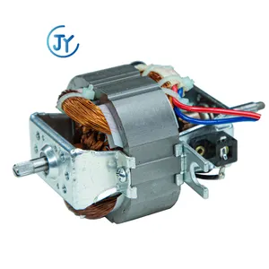 Kecepatan Tinggi Universal Listrik Ac 220V 7020 7025 7030 Mixer Juicer Blender Motor untuk Komersial Rumah
